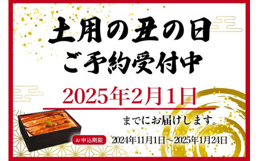 大型サイズ　ふっくら柔らか　国産うなぎ蒲焼き　2尾　化粧箱入【土用の丑の日のうなぎ】【2025年2月1日までにお届け】【UT05】