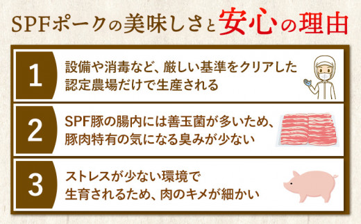北海道名寄市 鈴木ビビットファームSPF豚肉セット1kg | しゃぶしゃぶ すき焼き 生姜焼き とんかつ 焼肉 ステーキ 国産 冷凍 食品 おかず 食卓 団らん 冷凍 1kg レビュー高評価《30日以内に出荷予定(土日祝除く)》北海道 名寄市 送料無料