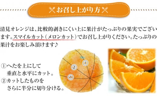 清見オレンジ約8kg / 果実サイズおまかせ ※2025年2月中旬～2025年4月下旬頃に発送予定　紀伊国屋文左衛門本舗【kstb401B】