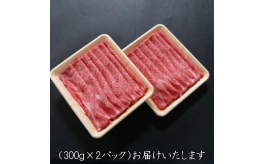 A5等級飛騨牛:スライス600g　ロース又は肩ロース肉【1538005】