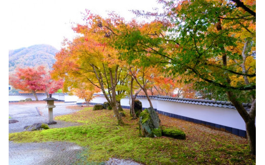 新緑や紅葉を楽しめる庭園もあります。