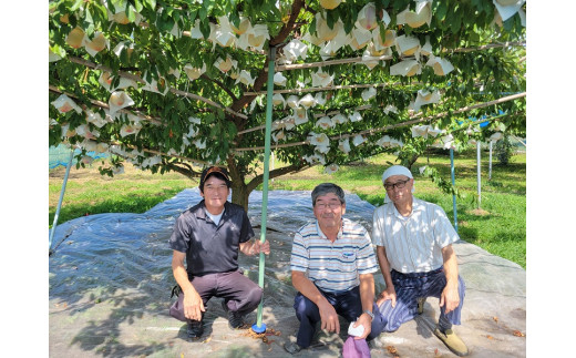 大切に栽培しています！