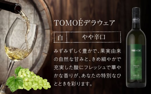 【お歳暮対象】TOMOEデラウェア 白ワイン やや辛口 750ml 12.5％ ワイン 受賞 飲み比べ 受賞 飲み比べ ワインセット ギフト 三次市/広島三次ワイナリー[APAZ001-999]