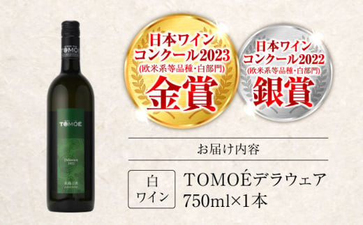 【お歳暮対象】TOMOEデラウェア 白ワイン やや辛口 750ml 12.5％ ワイン 受賞 飲み比べ 受賞 飲み比べ ワインセット ギフト 三次市/広島三次ワイナリー[APAZ001-999]