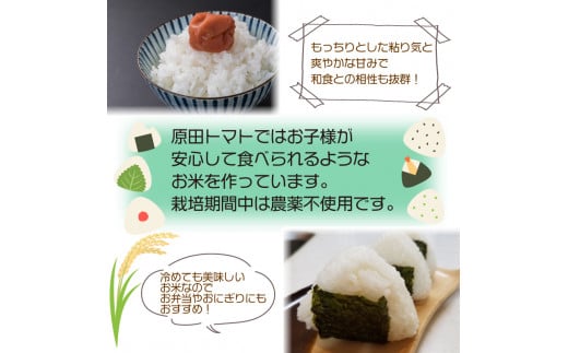 お米 あきさかり 5kg 令和6年産 米 こめ ご飯 ごはん おにぎり 白米 食品 備蓄 備蓄米 保存 防災 ギフト 贈答 プレゼント お取り寄せ グルメ 送料無料 徳島県 阿波市