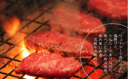 ＜宮崎牛＞霜降りと赤身の焼肉セット900g【C204】