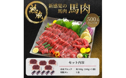 【令和6年12月出荷分】【年内発送】熟成×低温調理済 馬赤身肉500g