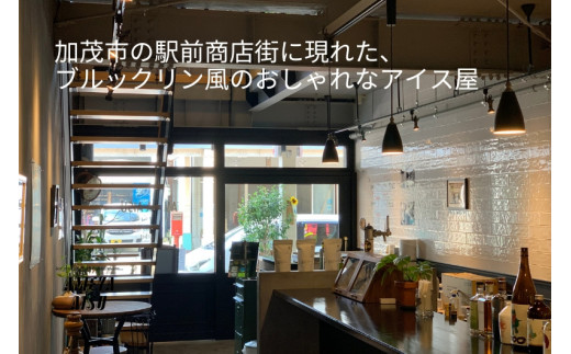 AMEYA AISU アイスクリーム＆シャーベット 10個入 おまかせギフトボックス 北海道産あずき使用 食べ比べセット ギフトセット 贈答 アイスクリームセット シャーベット ジェラート 青木飴屋 アメヤアイス 加茂市