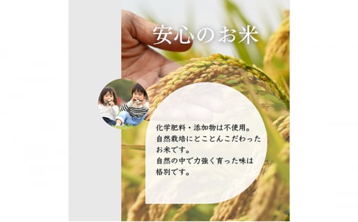 【特別優秀賞、料理王国100選】令和6年 長野県産 ミルキークイーン、いのちの壱　食べ比べセット（2キロ×2袋、無洗米） [№5915-1242]