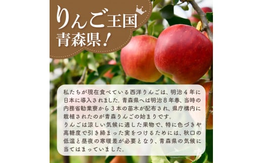 【2025年2月上旬発送】 【訳あり】 旬の美味しい りんご 約10kg 青森産 【おまかせ2品種】