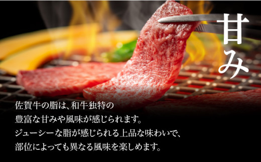 佐賀牛上カルビ 1kg (500g×2パック) ／ カルビ ロース サーロイン ステーキ ふるさと納税 佐賀牛 肉 牛肉 黒毛和牛 国産 バーベキュー 焼肉 やきにく にく 赤身 佐賀 佐賀県 ポーク 豚 豚肉 国産牛 佐賀県産 鶏 鶏肉 ギフト 贈答 送料無料 お肉