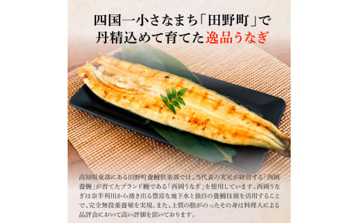 田野町産うなぎの白焼き(大) 4尾×6回 定期便 6ヶ月 定期コース 1尾あたり120～150g タレ付き 山椒付き うなぎ 鰻 ウナギ 白焼 無頭 おいしい 国産 個包装 お取り寄せ 冷凍 配送