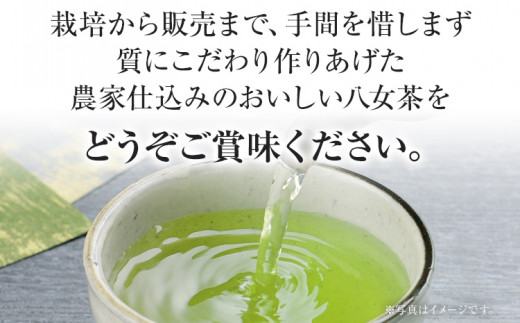 お試し企画【八女茶】原田茶園 極上煎茶 麗至 12g（茶葉タイプ） お試し 八女 極上 煎茶 福岡 茶葉 お茶