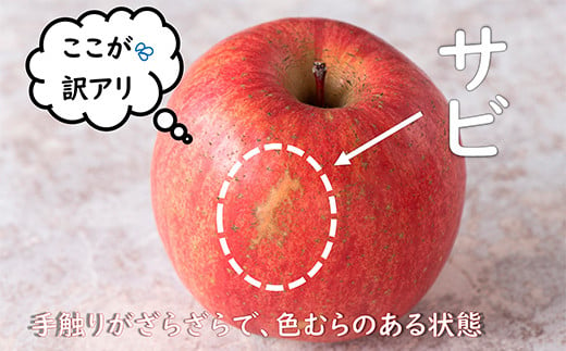 〈訳あり ちょっと規格外〉 雪んこ 完熟ふじりんご 約10kg 《令和7年1月上旬～発送》 【全国りんご選手権 銀賞】 『船中農園』 山形県 南陽市 [1405]