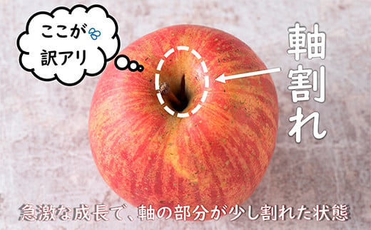 〈訳あり ちょっと規格外〉 雪んこ 完熟ふじりんご 約10kg 《令和7年1月上旬～発送》 【全国りんご選手権 銀賞】 『船中農園』 山形県 南陽市 [1405]