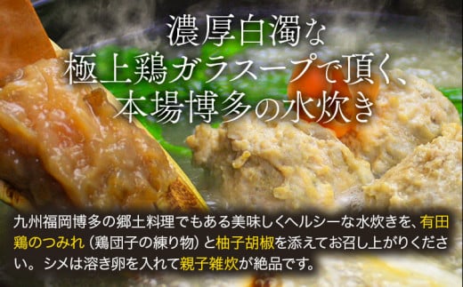 水炊き 鶏肉 鍋 鶏 博多水炊きセット 4-6人前 ぶつ切り&切り身&つみれセット 《30日以内に出荷予定(土日祝除く)》鶏ガラ 鶏ガラスープ 水炊きセット 冬 パーティー 株式会社ビーキューブ