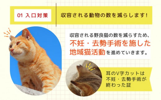 【お礼の品なし】犬猫殺処分ゼロプロジェクト＜50,000円＞長崎県ふるさと納税[42ZZAE005]長崎 長崎の変 動物 犬 猫 いぬ ねこ イヌ ネコ 保護犬 保護猫 支援 応援 チョイス限定 動物愛護 保護 どうぶつ 地域猫 寄付のみ