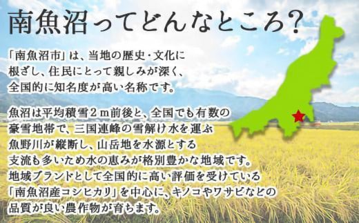 新潟県 南魚沼産 厳選 国産 石坂 高級 舞茸 産地直送 1kg ×3箱 計3kg 石坂きのこ