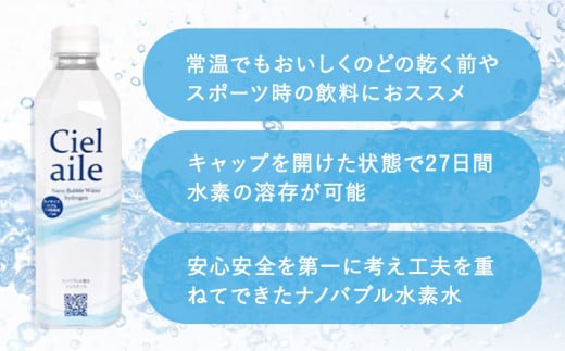 ナノバブル水素水 ペットボトル 約500ml 6本 株式会社ヒロシバ《30日以内に出荷予定(土日祝除く)》大阪府 羽曳野市 送料無料 水素水 肌 美容 健康 水