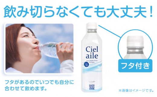 ナノバブル水素水 ペットボトル 約500ml 6本 株式会社ヒロシバ《30日以内に出荷予定(土日祝除く)》大阪府 羽曳野市 送料無料 水素水 肌 美容 健康 水