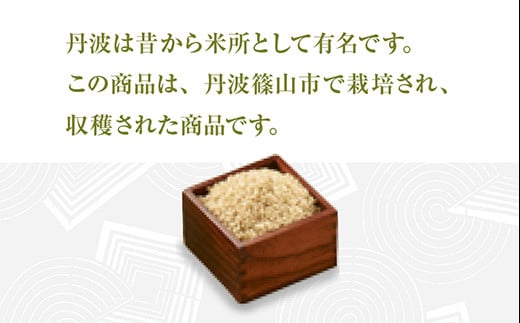 【玄米】丹波産こしひかり玄米《令和6年度産》3kg×2