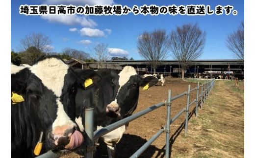 [№5712-0577]【彩の国優良ブランド】加藤牧場 ノンホモ低温殺菌牛乳を使用した甘みとコクが感じられるジェラート9個セット