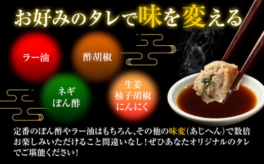 餃子 一口餃子 ひとくち 博多和牛 冷凍 25個 × 5パック 125個 清柳食産《30日以内に順次出荷(土日祝除く)》九州産 牛 肉 送料無料 冷凍 鞍手郡 鞍手町 牛肉 肉料理 和牛 博多和牛 揚げ餃子 水餃子