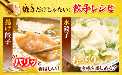 餃子 一口餃子 ひとくち 博多和牛 冷凍 25個 × 5パック 125個 清柳食産《30日以内に順次出荷(土日祝除く)》九州産 牛 肉 送料無料 冷凍 鞍手郡 鞍手町 牛肉 肉料理 和牛 博多和牛 揚げ餃子 水餃子