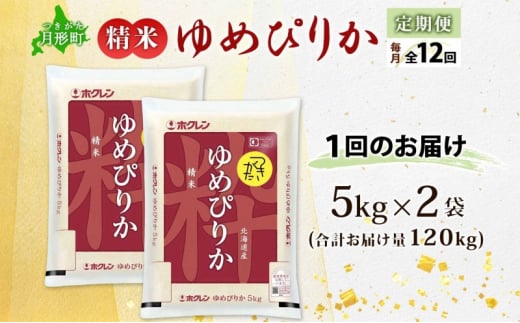 北海道 定期便 12ヵ月連続12回 令和6年産 ゆめぴりか 5kg×2袋 特A 精米 米 白米 ご飯 お米 ごはん 国産 ブランド米 肉料理 ギフト 常温 お取り寄せ 産地直送 送料無料  [№5783-0736]