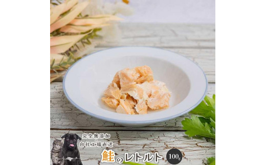 【 愛犬・愛猫用】無添加 レトルト 10種セット 