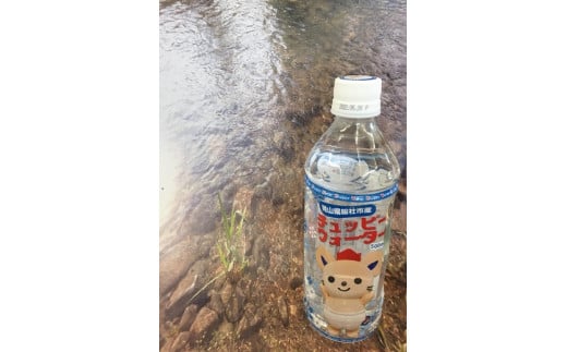 【定期便】そうじゃの水「チュッピーウォーター」（500ml×24本）〔12回配送〕144-002
