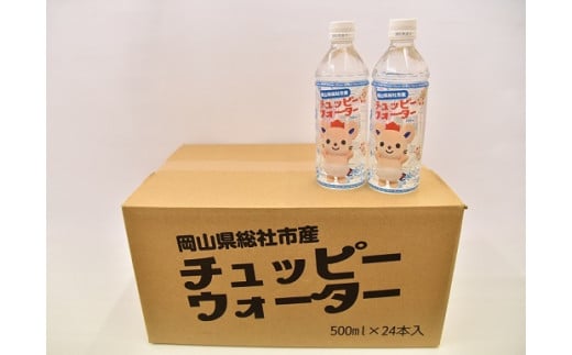 【定期便】そうじゃの水「チュッピーウォーター」（500ml×24本）〔12回配送〕144-002
