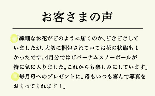 ６７３．【月2回・12か月定期便】旬とくらすお花の定期便（年24回）
※着日指定不可
※北海道・沖縄・離島への配送不可