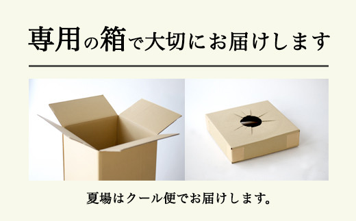 ６７３．【月2回・12か月定期便】旬とくらすお花の定期便（年24回）
※着日指定不可
※北海道・沖縄・離島への配送不可