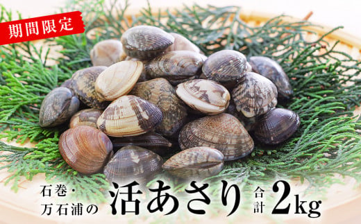 石巻・万石浦の活あさり(2kg) アサリ あさり 天然 貝 プリプリ おかず 味噌汁 砂抜き