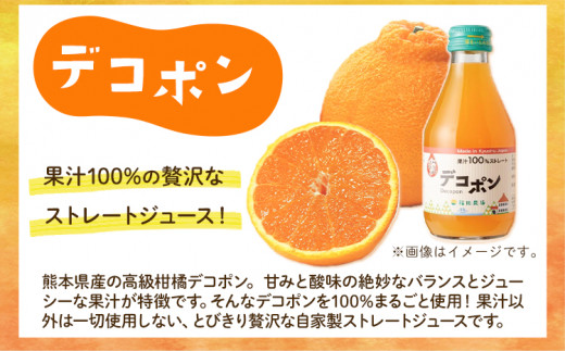 九州まるごとしぼり デコポン ストレートジュース 10本セット 1本あたり180ml《30日以内に出荷予定(土日祝除く)》熊本県 水俣市 津奈木町 福田農場 ジュース 柑橘 セット 果汁100%