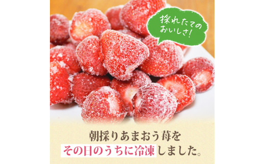 ＜予約受付中！2025年1月より順次発送予定＞冷凍あまおう(計2kg・1kg×2袋)  いちご イチゴ 苺＜離島配送不可＞【ksg0438】【うるう農園】