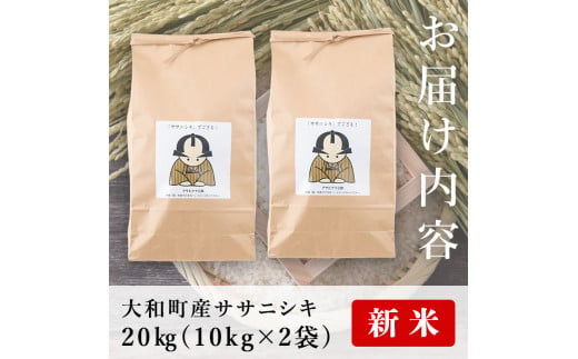 ＜令和6年産 新米＞お米農家直送！ササニシキ 20kg (10kg×2袋) お米 おこめ 米 コメ 白米 ご飯 ごはん おにぎり 宮城米 ささにしき 新米 令和6年産 お弁当【お米農家ろくすみファーム】 ta292