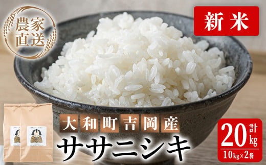 ＜令和6年産 新米＞お米農家直送！ササニシキ 20kg (10kg×2袋) お米 おこめ 米 コメ 白米 ご飯 ごはん おにぎり 宮城米 ささにしき 新米 令和6年産 お弁当【お米農家ろくすみファーム】 ta292