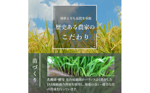 ＜令和6年産 新米＞お米農家直送！ササニシキ 20kg (10kg×2袋) お米 おこめ 米 コメ 白米 ご飯 ごはん おにぎり 宮城米 ささにしき 新米 令和6年産 お弁当【お米農家ろくすみファーム】 ta292