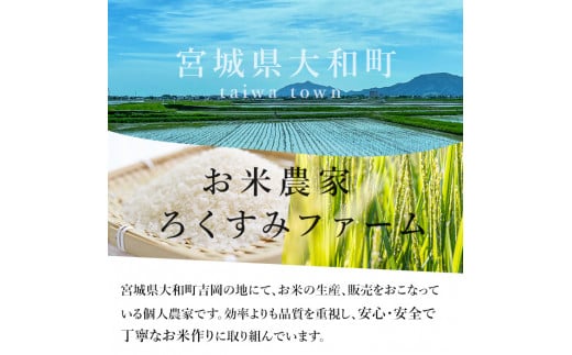 ＜令和6年産 新米＞お米農家直送！ササニシキ 20kg (10kg×2袋) お米 おこめ 米 コメ 白米 ご飯 ごはん おにぎり 宮城米 ささにしき 新米 令和6年産 お弁当【お米農家ろくすみファーム】 ta292