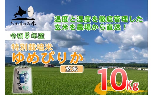 A222　【 令和6年産 】 ゆめぴりか （ 玄米 ） 特Aランク 北海道 米 を代表する人気の品種 10㎏ 北海道 鷹栖町 たかすのお米 米 コメ こめ ご飯 玄米 お米 ゆめぴりか コメ 玄米