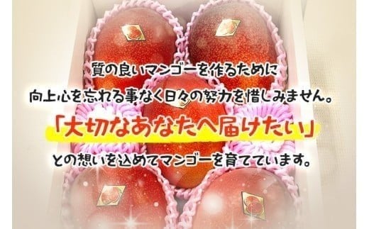 2026年夏発送＞ 宮古島産樹上完熟マンゴー（訳あり/ご家庭用）1kg（2