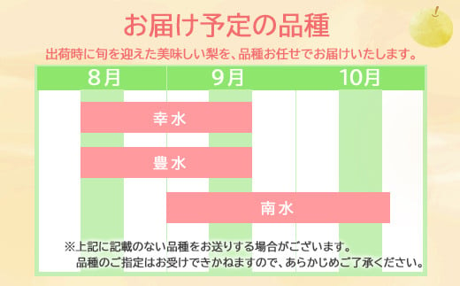 [No.5657-3517]旬の梨 約3kg (約5～12玉) 《黒岩果樹園》■2025年発送■※8月中旬頃～10月下旬頃まで順次発送予定