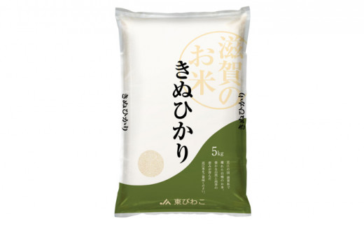 【新米】令和6年産甲良米「キヌヒカリ」白米 10kg　お米 こめ コメ おこめ 白米 キヌヒカリ