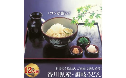 「瀬戸内中讃定住自立圏」うどんの名店食べ比べセット (5種) 【man001】【まんでがん】