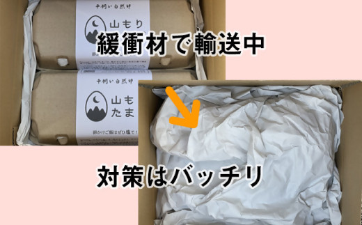 【月2回定期便】山もりたまご 20個 月2回 (2週に1回) 12ヶ月お届け