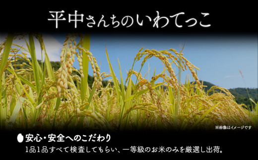 米 いわてっこ 5kg《30日以内に出荷予定(土日祝除く)》 岩手県 九戸村 一等米 精米 白米 お米