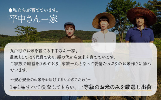 米 いわてっこ 5kg《30日以内に出荷予定(土日祝除く)》 岩手県 九戸村 一等米 精米 白米 お米