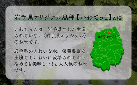 米 いわてっこ 5kg《30日以内に出荷予定(土日祝除く)》 岩手県 九戸村 一等米 精米 白米 お米